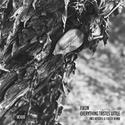 Fixon - Everything tastes little (Álbum)